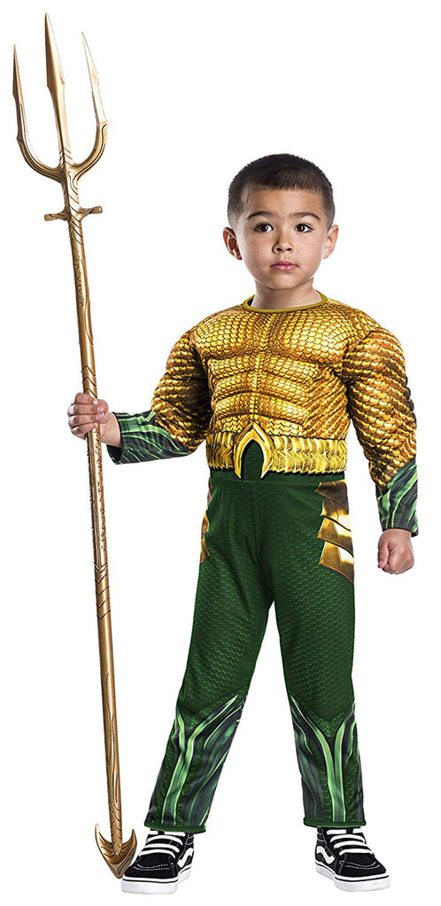 Aquaman Dc Superhero Toddler Costume