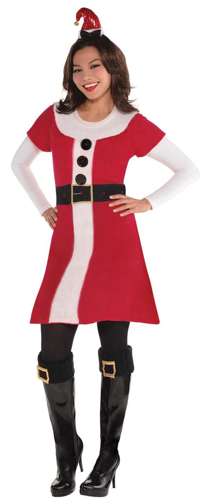 Santa Sweater Womens Adult Costume Dress
