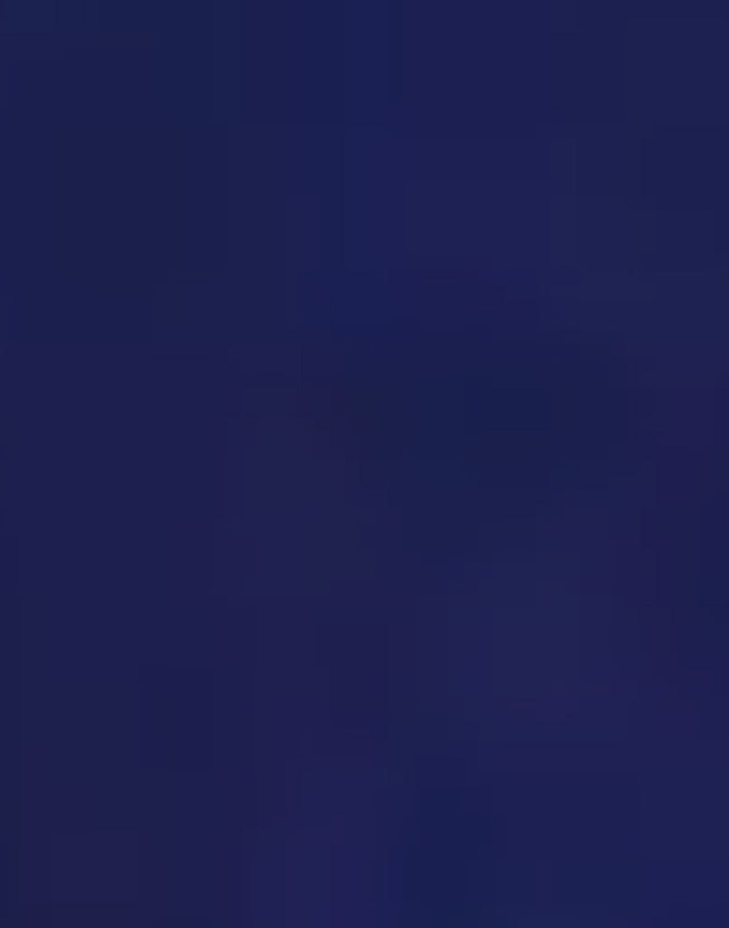 Navy Blue Mock Neck Long Sleeve Unitard Dancewear Bodysuit Costume-Reg and Plus Size