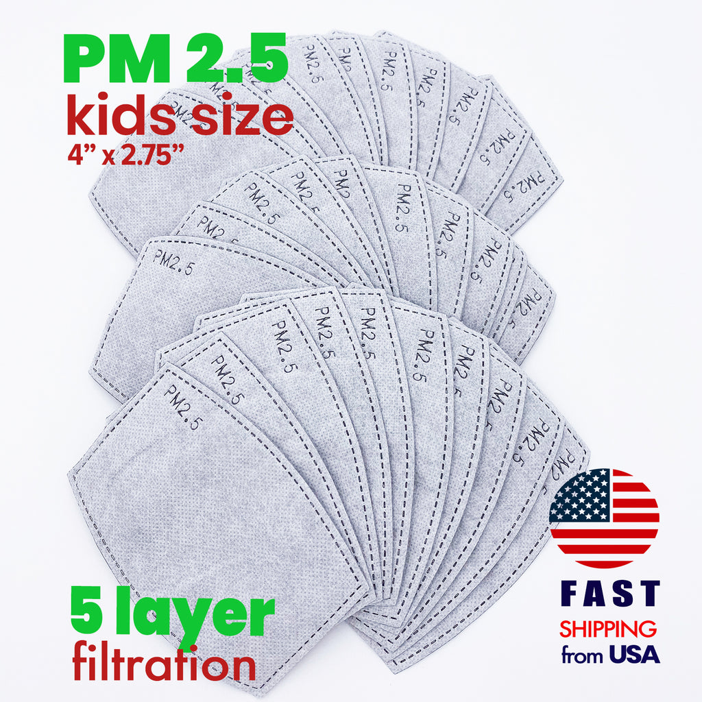 PM2.5 Activated Carbon Filters