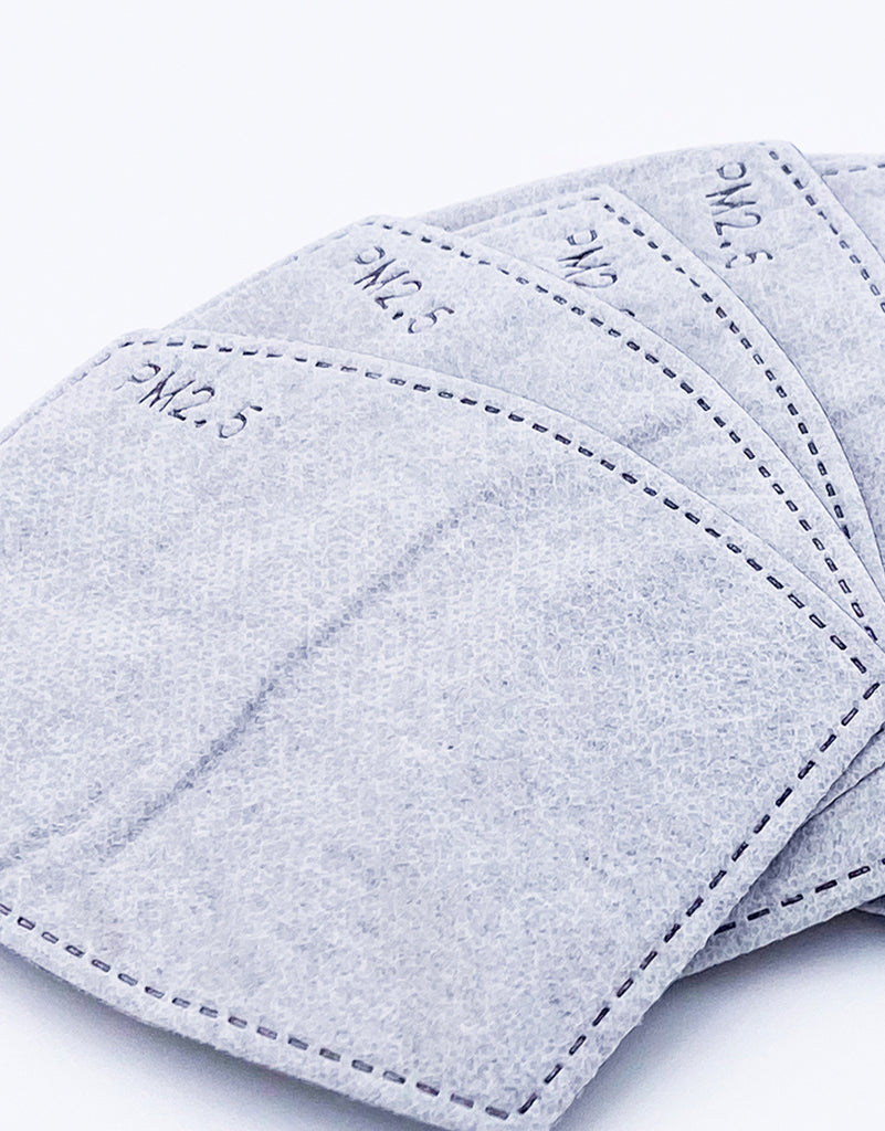 PM2.5 Activated Carbon Filters