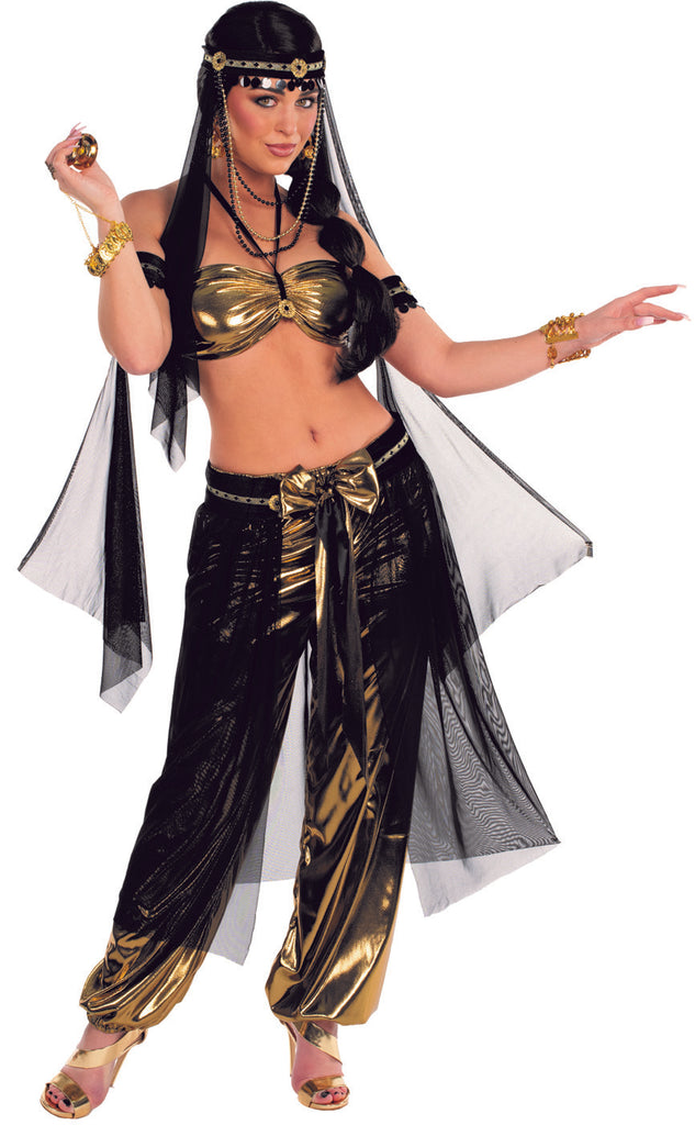 Harem Girl Womens Costume