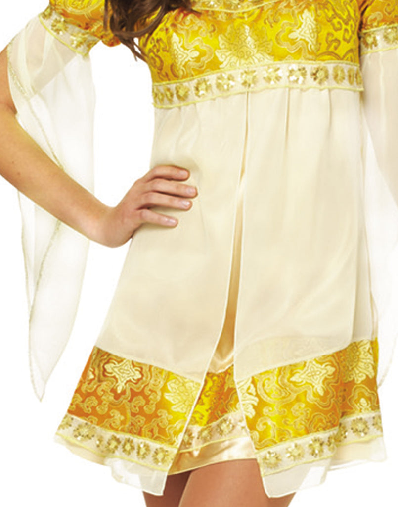 Renaissance Princess Costume