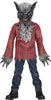 Grey Werewolf Boys Child Costume