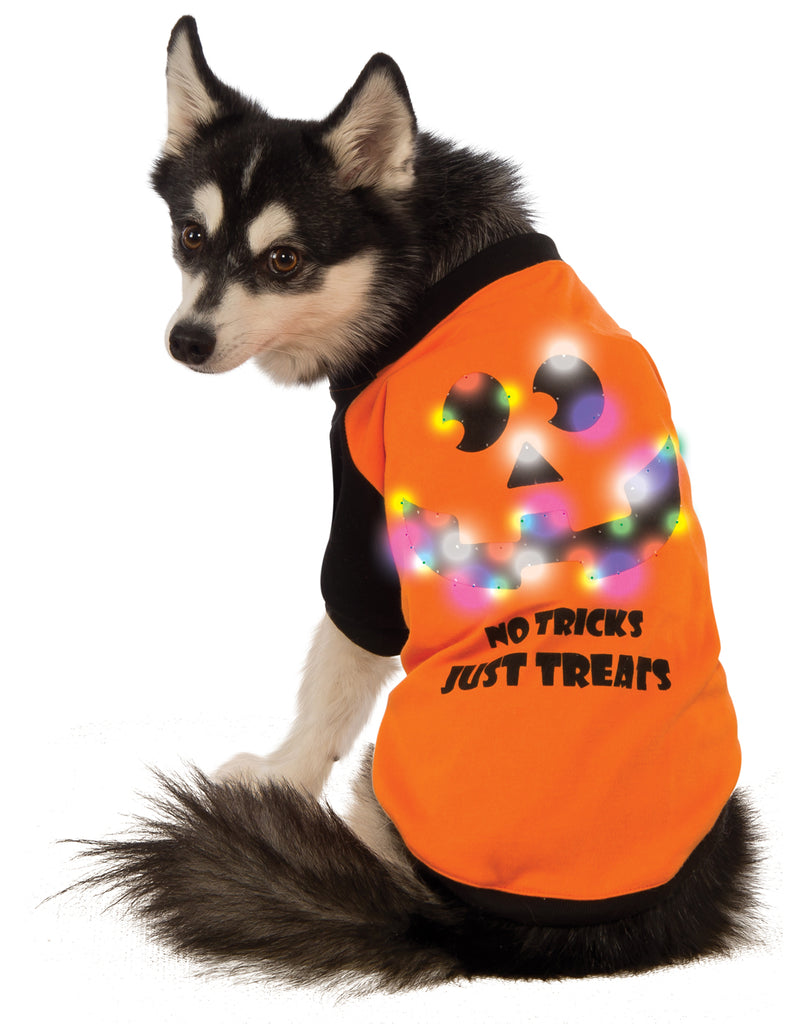 Led Light Up Orange Back Pet Halloween Shirt