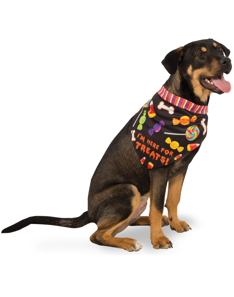 Im Here For The Treats Pet Bandana