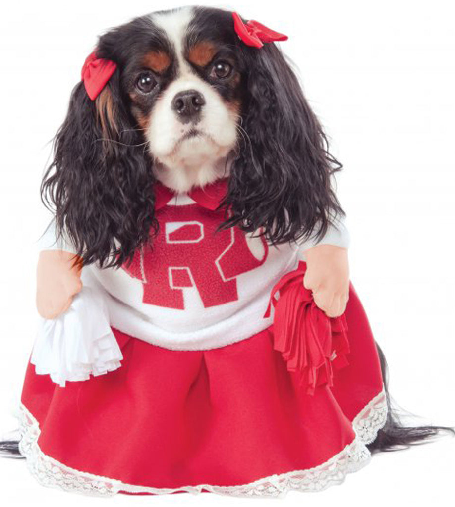 Rydell High Grease Cheerleader Pet Costume