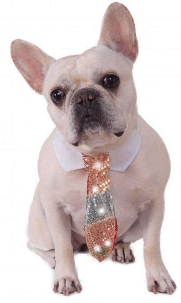 Reversible Holiday New Years Pet Tie