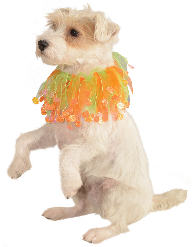 Glow In The Dark Pet Pumpkin Collar