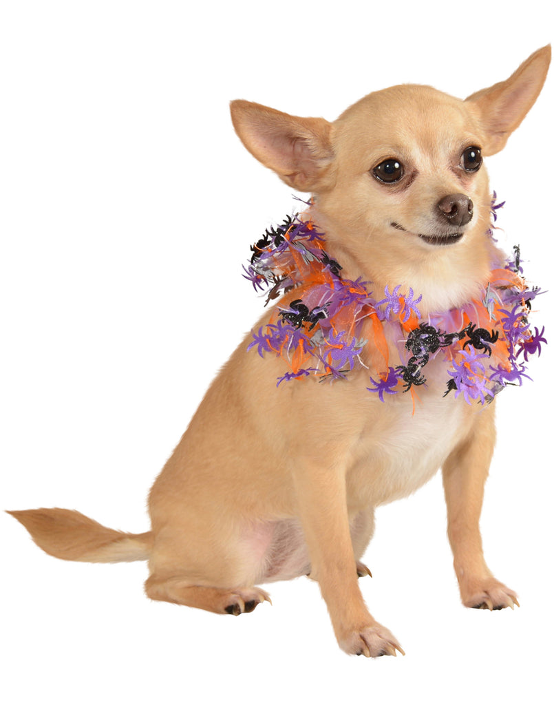 Pet Purple Orange Spider Collar