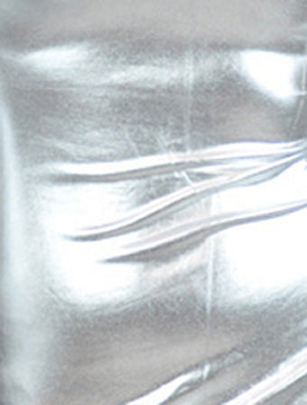 Metallic Sliver Mock Neck Leotard