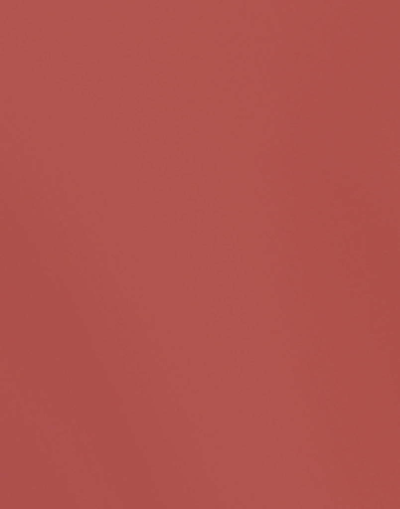 Short Ballet Dance Chiffon Color Wrap Skirt