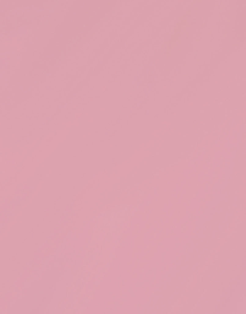 Short Ballet Dance Chiffon Color Wrap Skirt