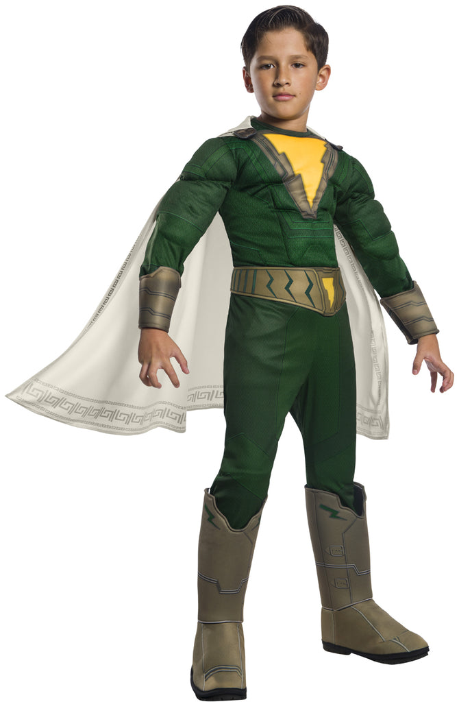 Pedro Shazam Superhero Deluxe Child Costume