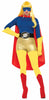 Blue Hero Adult Costume Superhero Shirt
