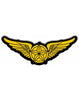 Pilot Wings Iron On Applique Accessory