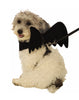 Black Bat Wing Harness Pet Costume