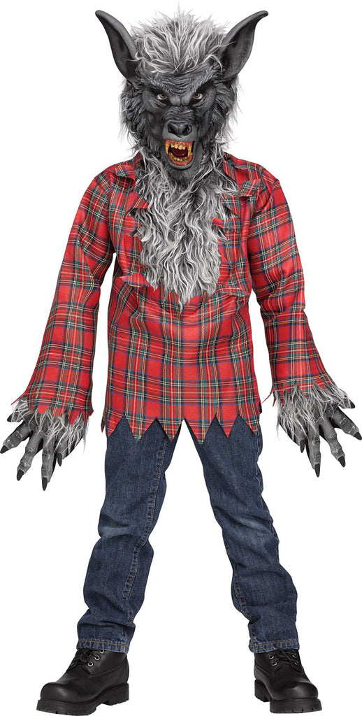 Grey Werewolf Boys Child Costume