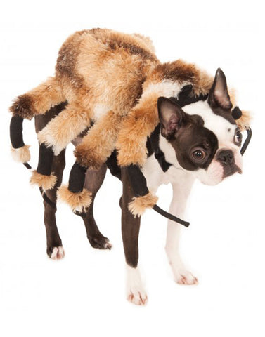 Mobster Dog Pet Gangster Costume