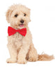 Red Pet Bowtie