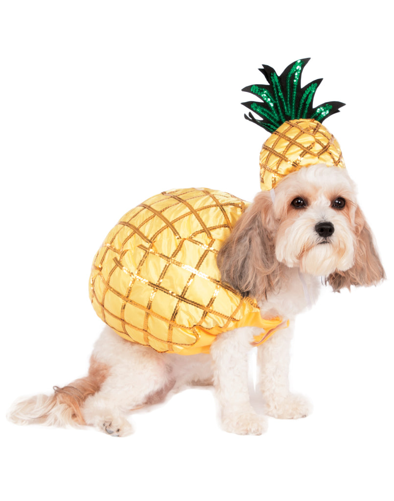 Pineapple Fruit Pet Costume