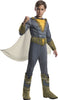 Eugene Shazam Superhero Deluxe Child Costume