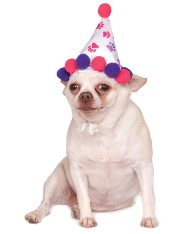 Boy Paw Print Pet Birthday Hat