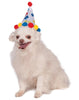 Boy Paw Print Pet Birthday Hat
