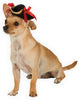 Pirate Girl Pet Hat